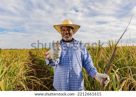 Black farmer happy with sugar cane crop making thumbs up with hand and smiling. Brazilian farmer. Sugarcane farm. Positive gesture.
