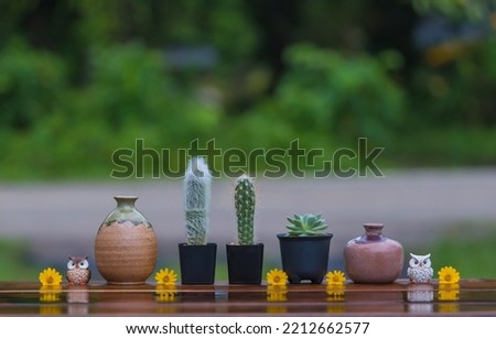 Beautiful  cactus , vintage  vase ,simulated  owls  and  yellow flowers  on wood  tale with  nature  blurry  background .