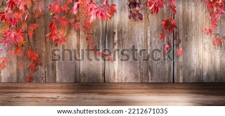 rustic autumnal wooden 3d room with frame from colored leaves, rural autumn background wallpaper with copy space for product presentation