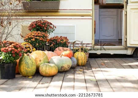 Fall Backyard with pumpkins and chrysanthemum in pots. RV house Porch decorated for Halloween, Thanksgiving. Orange Pumpkins and autumn flowers on steps house. Campsite in garden. 
