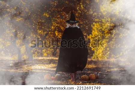 Halloween time, witch Lady in Mystical forest, October atmosphere, witchcraft concept, ideas for mysterious Party 