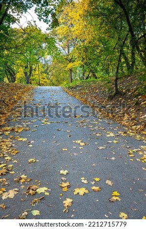 A path in the park amidst the trees that are yellow in autumn