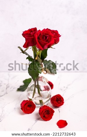 Bright red summer roses  flowers against grey textured background in glass vase. Selective focus. Still life. Place for text.