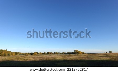 Panoramic countryside autumn landscape with field and the forest on horison under clear cloudless blue sky in color paints