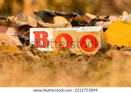 The word BOO on wooden cubes on the background of fallen leaves, close up. Autumn concept. Halloween holiday