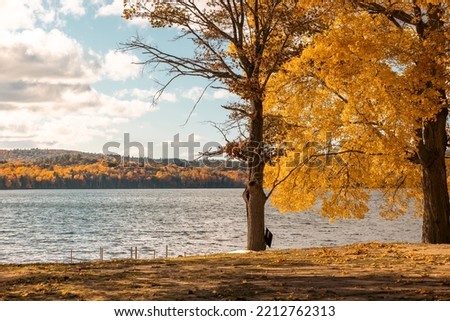 Canada Turning to Vibrant Colours in Autumn, lake, mountain and fall colors