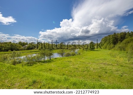 Rural landscape, bright May greenery, sunny day. Trees and bushes by the river.