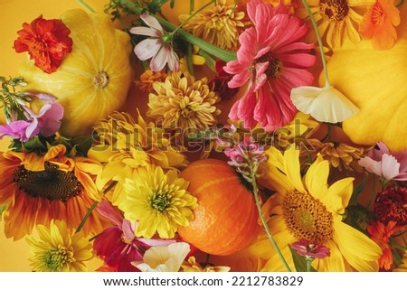 Harvest time in countryside. Hello Fall. Colorful autumn flowers, pumpkins, pattypan squash on yellow paper flat lay. Seasons greeting card template. Autumn banner . Happy Thanksgiving!