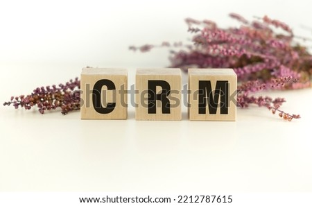 CRM ,Customer Relationship Management, acronym on wooden cubes on a light background with a cactus.