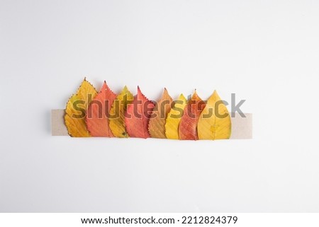 strip of cardboard with autumn leaves