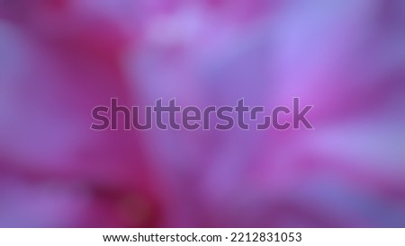 Abstract blur background of beautiful pink flower.