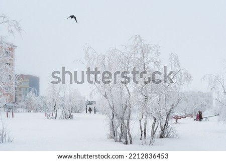 Winter snow-covered city square. The branches of bushes and trees are covered with frost. Frosty winter weather. Children on the playground. Cold polar climate in a northern city in the Arctic. Anadyr Royalty-Free Stock Photo #2212836453