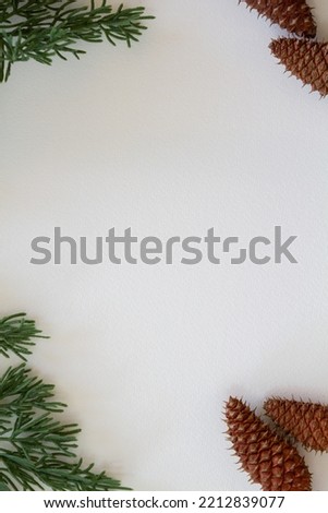 pine needles and pine cones on a white background