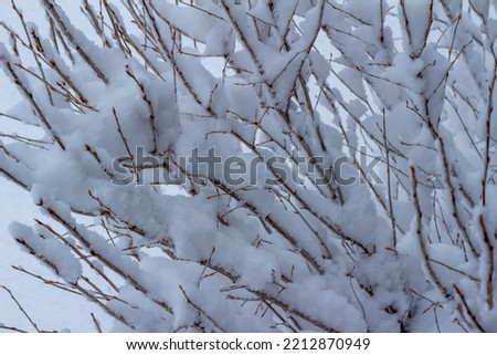 Texture background view of heavy snowfall accumulated on deciduous branches during a winter blizzard