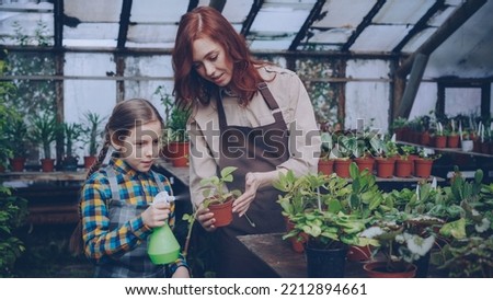 Young woman skilled gardener is teaching her curious little daughter to sprinkle and wash leaves of green pot plantst with spray bottle inside greenhouse. Family business concept.
