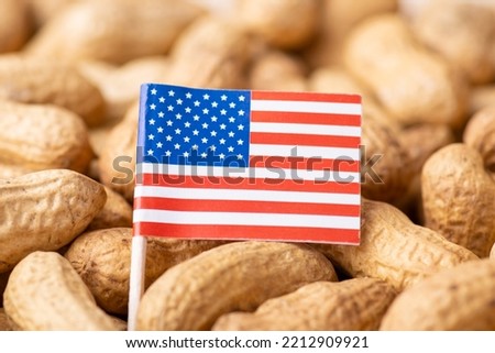 Flag of USA on peanuts in peel. Concept of growing peanuts in US, agribusiness