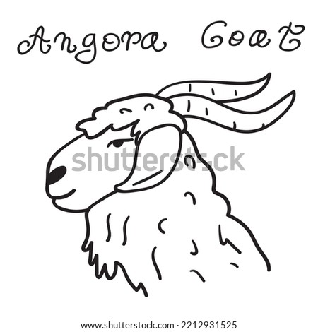 Animal. Angora goat. Black color illustration. Vector outline graphic design. 