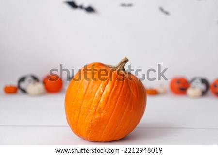 Halloween decorations on white background. Halloween concept.
