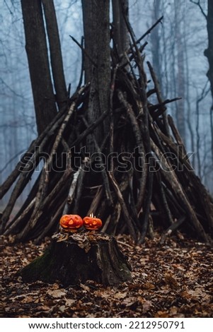 Two smiling Halloween Pumpkins on a forest with lights In a heads.