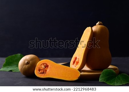 Butternut squash or butternut pumpkin on black background, Vegetables in autumn season