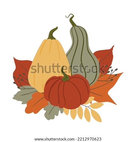 Fall illustrations with pumpkin and leaves, autumn pumpkin compositions png clipart, pumpkin with flowers vector illustration, floral compositions in flat style.