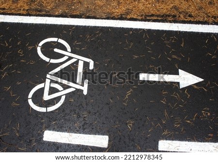 Bike lanes sign. Bicycle icon and arrow on the asphalt road in the pine Park. Close-up.