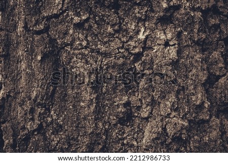 Rough tree bark horizontal format,Texture shot of brown tree bark, filling the frame 