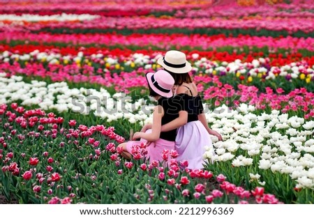                Mom and daughter are sitting in a field of tulips.Background, beautiful floral background, texture                
