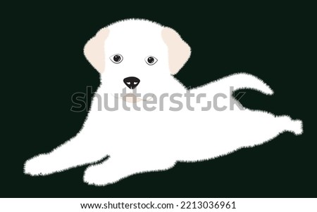 Cute white puppy.  Vector illustration of dog breed set in flat style.  Vector illustration isolated on dark background,Cute dog. Love dog, cartoon pet dogs. cartoon funny dogs