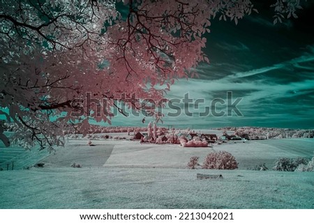 summer landscape with a field and a tree infrared photography