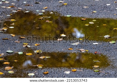 reflection of a puddle with leaves on the pavement without people in the fall in cloudy weather in the rain