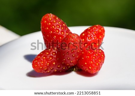 Strange funny imperfect fresh juicy strawberries, unusual organic strawberries, trendy ugly food. Mutated strawberry