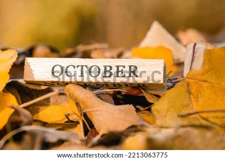 Letters October on the background of fallen leaves, close up. The onset of autumn. Autumn concept