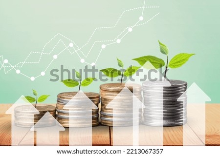 Stack of golden coins and green plants