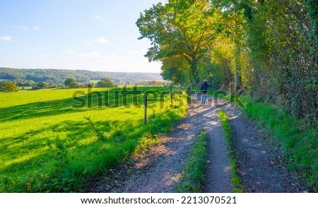 Fields and vegetables in a green hilly grassy landscape under a blue sky in sunlight in autumn, Voeren, Limburg, Belgium, October, 2022
