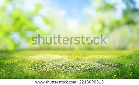 Beautiful blurred spring background nature with blooming glade, trees and blue sky on a sunny day. Royalty-Free Stock Photo #2213090313