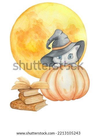 The cat looks out from behind the pumpkin. A witch's hat on a seal. Halloween Celebration
