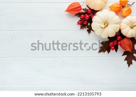 Halloween festive autumn background. Autumn decor from pumpkins, berries, maple leaves and chestnuts on old rustic white wooden backgrounds. Concept of Thanksgiving day  Halloween. Top view copy space