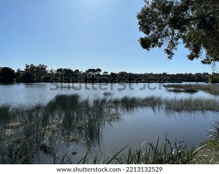Reserved lake for birds with grass