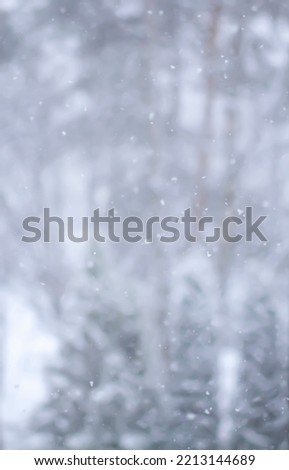 Snowfall blurred winter background. Wintertime photo overlay. 