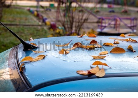 Fallen yellow autumn leaves lie on the roof of the car .