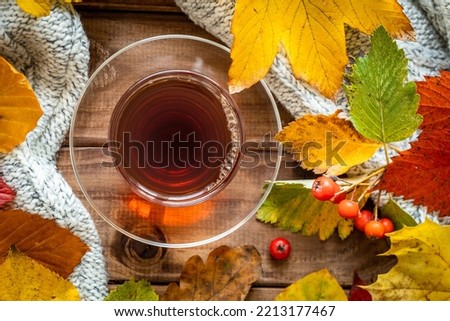 A glass of hot tea, Colorful autumn leaves, Seasonal concept, Beautiful golden autumn season