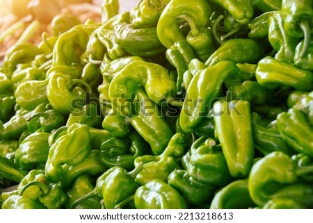Fresh green bell pepper laid out on the counter for sale in the organic market