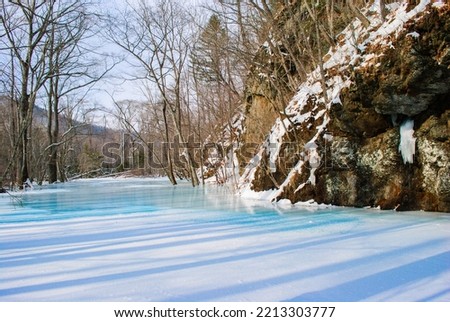 Selective focus. Winter forest. River in winter.