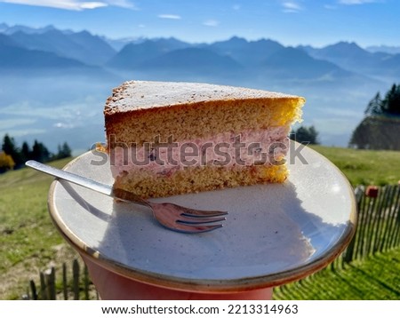 Delicious sponge cake on white plate, the Austrian Alps in the background. High quality photo