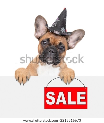 French Bulldog puppy wearing hat for halloween looks above empty white banner and shows signboard with labeled "sale". Isolated on white background