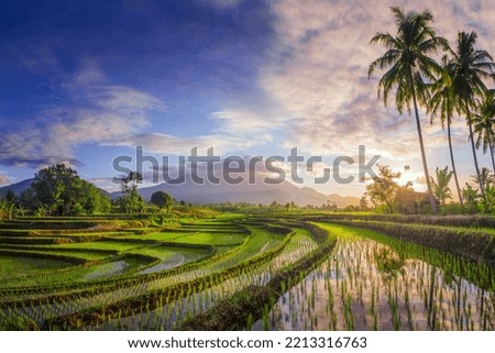 the beauty of the foggy morning panorama with sunrise and rice fields Royalty-Free Stock Photo #2213316763