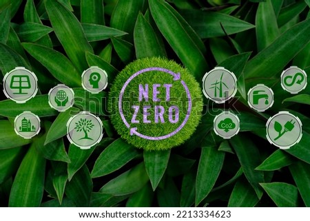 Net-Zero Emission - Carbon Neutrality concept. Close up earth on nature background. Nature Сonservation, Ecology, Social Responsibility and Sustainability. CO2 Royalty-Free Stock Photo #2213334623