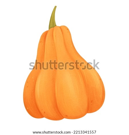 Cute pumpkin clip art, autumn, fall, halloween, thanksgiving, isolated on white background, suitable for prints, postcards, patterns, stickers, website elements