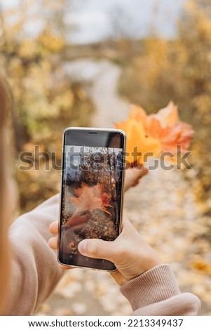 Teenager boy taking photos with his smartphone autumn bouquet of maple leaves.
